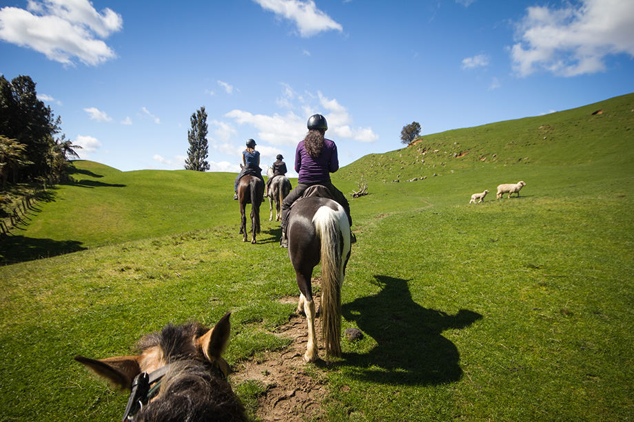 People taking part in horseriding